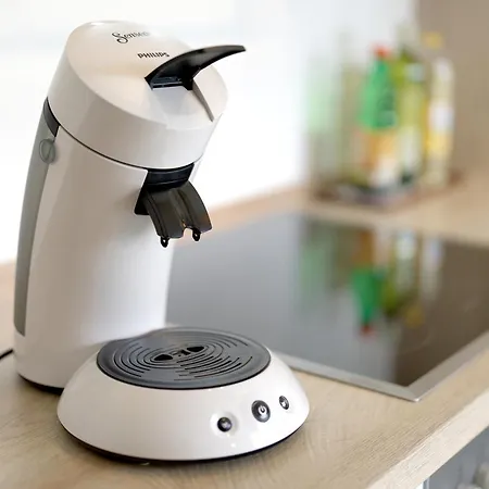 شقة In Der Weinig ساسباخ آم كايزرشتول